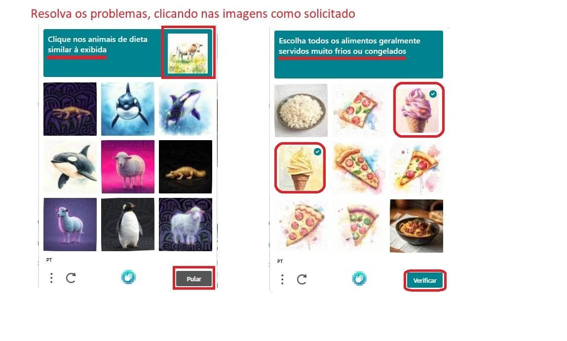 Tela de verificação de imagens, com os botões “Pular” e “Verificar” marcados em vermelho.